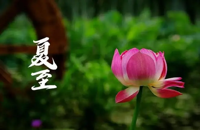 中國傳統(tǒng)二十四節(jié)氣——夏至